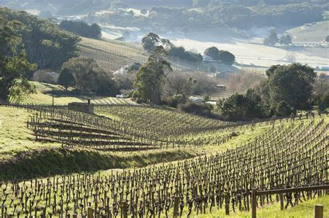 Adelaide Hills Chardonnay Rose Murray Brown