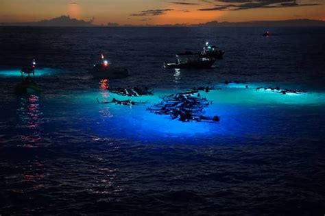 Kailua Kona Manta Ray Watching Nighttime Boat Trip Getyourguide
