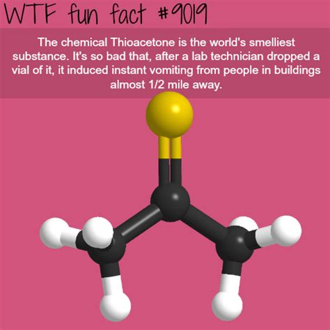 35 Fun And Wtf Facts To Expand Your Mind Wow Gallery Ebaum S World