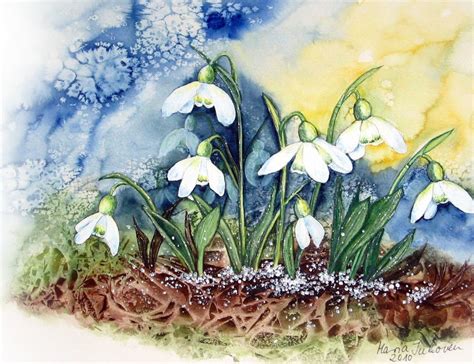 Snowdrops Schneegl Ckchen Watercolour Aquarelle Inhoven De