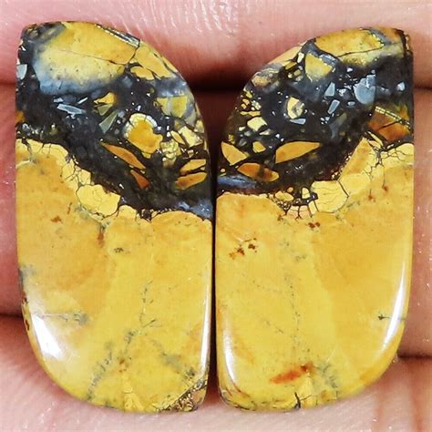 28 85Cts Maligano Jasper Paire Cabochon Desseré Gemme pour Bijoux