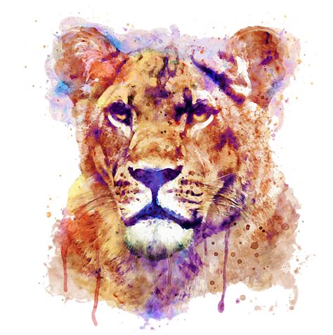 Download Watercolor Lioness Portrait