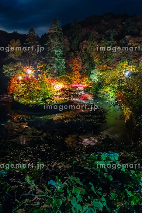 日本 青森県黒石市にある中野もみじ山のライトアップされた紅葉の写真素材 246454614 イメージマート