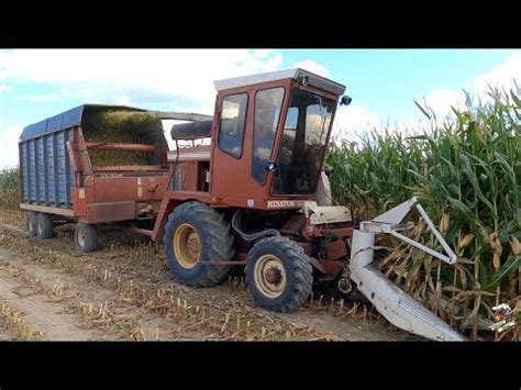 Chopping Corn Silage With A Hesston Field Queen YouTube