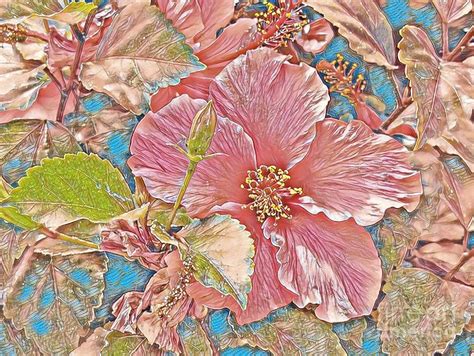 Dusty Pink Hawaiian Hibiscus Mixed Media By Zenya Zenyaris Fine Art America