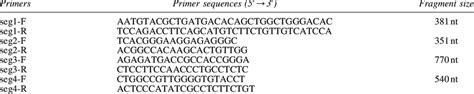 Primers For One Step Reverse Transcription Pcr Amplification Of Partial Download Scientific