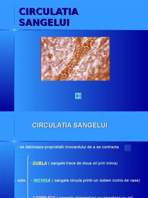 Circulatia Sangelui