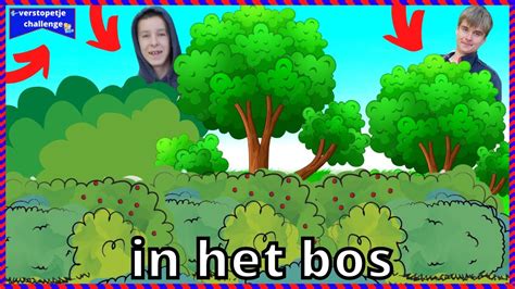 VERSTOPPERTJE SPELLEN IN HET BOS MET BRANKO YouTube