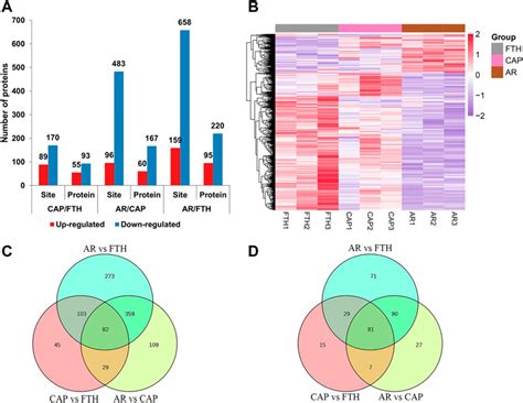 Frontiers Quantitative Phosphoproteomics Analyses Reveal The