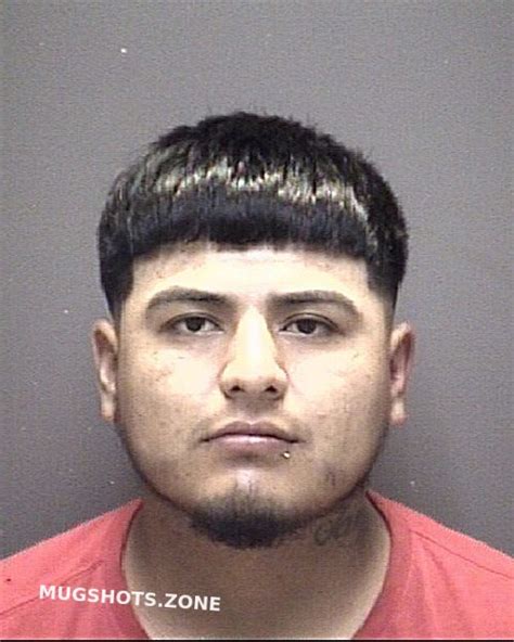 Torres Hernan Eduardo Galveston County Mugshots Zone