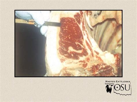 Beef Quality And Yield Grades Grading Vs Inspection