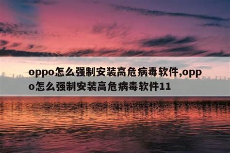 Oppo怎么强制安装高危病毒软件oppo怎么强制安装高危病毒软件11 装机吧