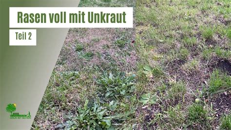 Rasen voll mit Unkraut Teil 2 Unkraut entfernen und Rasen nachsäen