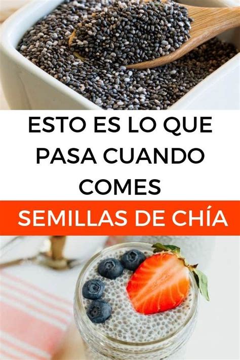 8 Beneficios De Las Semillas De Chia Recetas Beneficios De La Chia