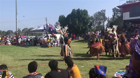 Nara Orini Kairuku Dancers Brisbane Png Independence Day Celebrations