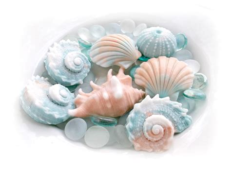 Decorative Sea Shell Soap Beach House Decor Soap T Set Etsy