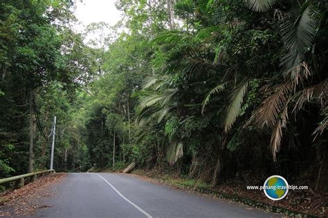 Gunung Jerai (Kedah Peak)