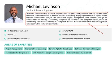 Software Engineer Resume Example How To Guide