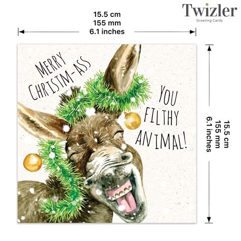 Pack Of 12 Funny Christmas Cards Pack Xmas Multipack Funny Cards