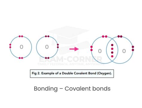 Covalent Bonds Exam Corner