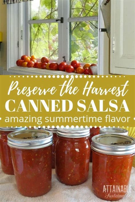 Looking For A Great Salsa Recipe To Use Up Your Garden Fresh Tomatoes