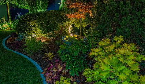 3 Tips For Lighting Your Garden