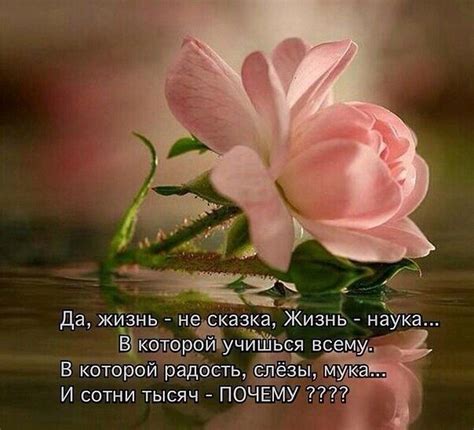 Мелькнула ЖИЗНЬ...Я оглянуться не успела... И пронеслась,как будто ...