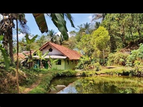 Kampung Terpencil Tersejuk Di Ciamis Air Tetap Cur Cor Walau Kemarau