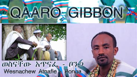 Wesnachew Atnafie Bonga Ethiopian Kaffa Song Qaaro Gibbon YouTube