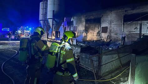 Mueren Lechones En El Incendio De Una Nave De Porcino En Puente La