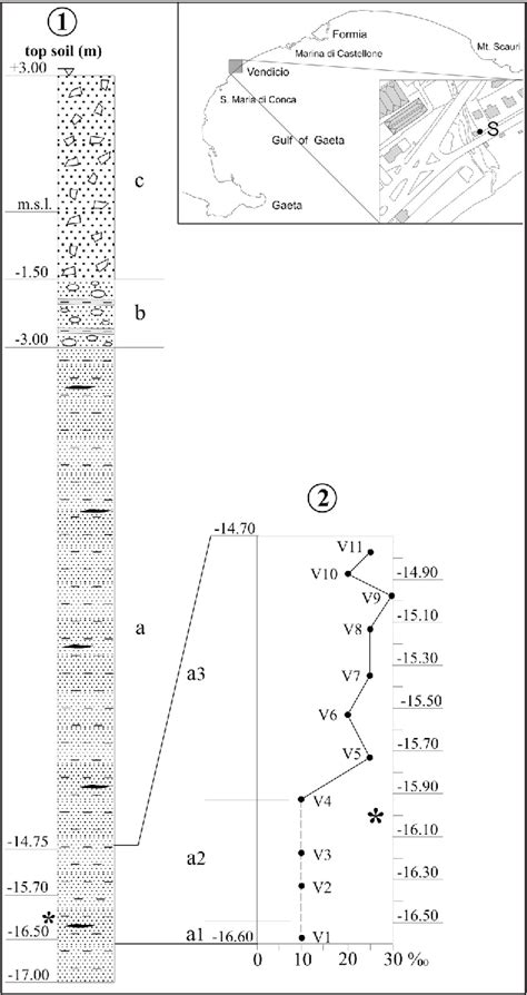 Figure From Morphological And Palaeoenvironmental Evolution Of The