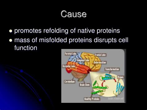 PPT - CJD and Kuru: Prion Viruses PowerPoint Presentation, free ...