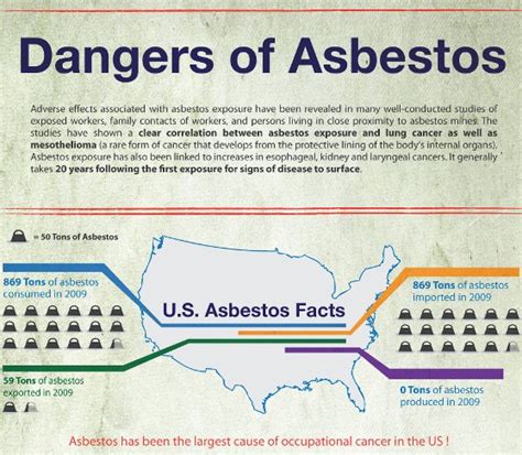 Top 10 Asbestos Infographics Infographics Zone Submit Infographics