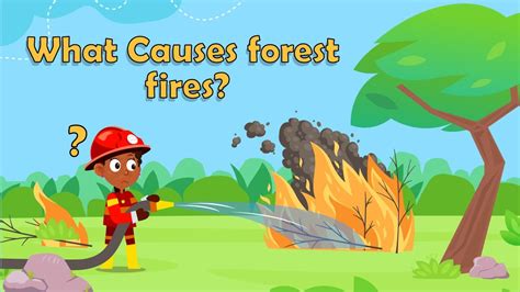 Causes Of Forest Fires