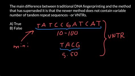 VNTRs Minisatellites And Microsatellites YouTube