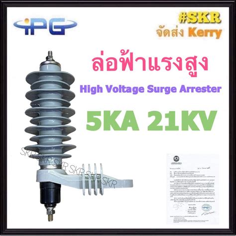 IPG ลอฟาแรงสง YH 5KA 21KV High Voltage Surge Arrester Polymer ลอฟา