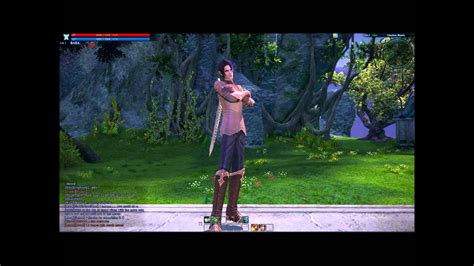 Tera Cpe High Elf Male Emotes Youtube