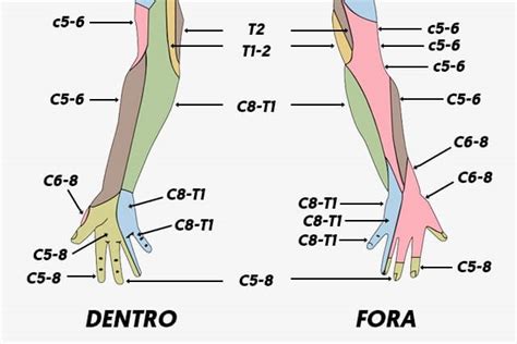 O Que Pode Ser O Formigamento Nas M Os E O Que Fazer Fwa Equipamentos