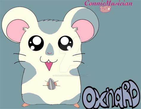 Hamtaro Oxnard By Connicmusician On Deviantart
