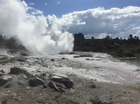 Auckland Hobbiton Og Rotorua Med Te Puia Tour Getyourguide