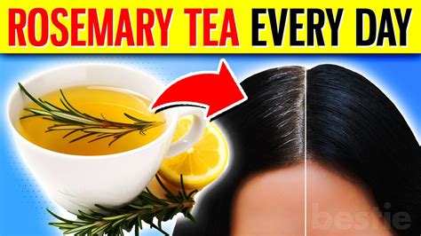 Drink Rosemary Tea Every Day For Month See What Happens To Your Body