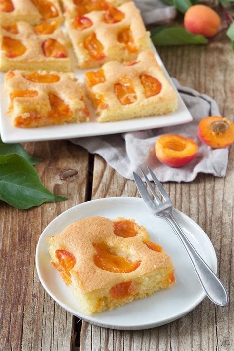 Saftiger Marillenkuchen Vom Blech Rezept Sweets Lifestyle