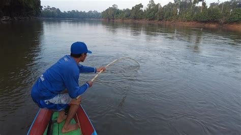 Dua Hari Mancing Ikan Hampala Dan Nombak Ikan Malam Hari Youtube