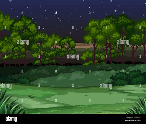 Nature scene at night Stock Vector Image & Art - Alamy