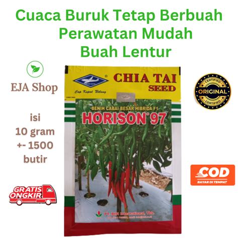 Benih Cabe HORISON 97 F1 Cap Kapal Terbang Lombok Merah Besar Hibrida