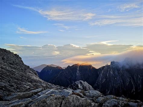 6d5n Mount Kinabalu With Maragang Hill Hike Wildlife Tours Outback