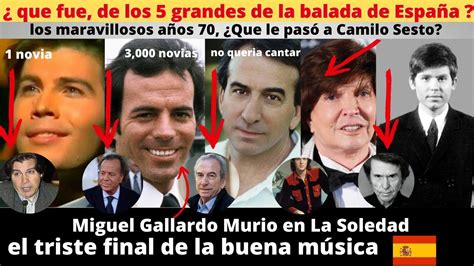 Los Grandes Cantantes Espa Oles De Los Julio Iglesias Gallardo