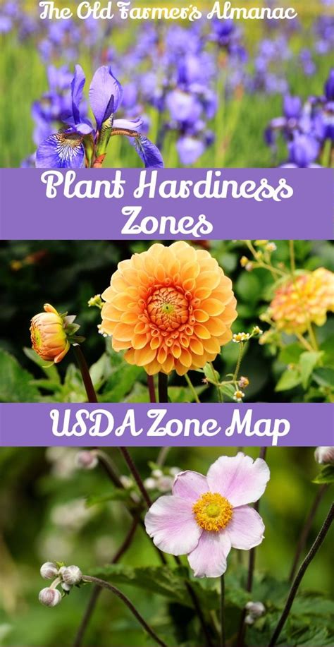 Florida Gardening Zones Map Beautiful Insanity