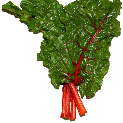 Ruby Red Swiss Chard Seeds - pkg