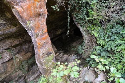 Premium Photo Entrance To The Cave
